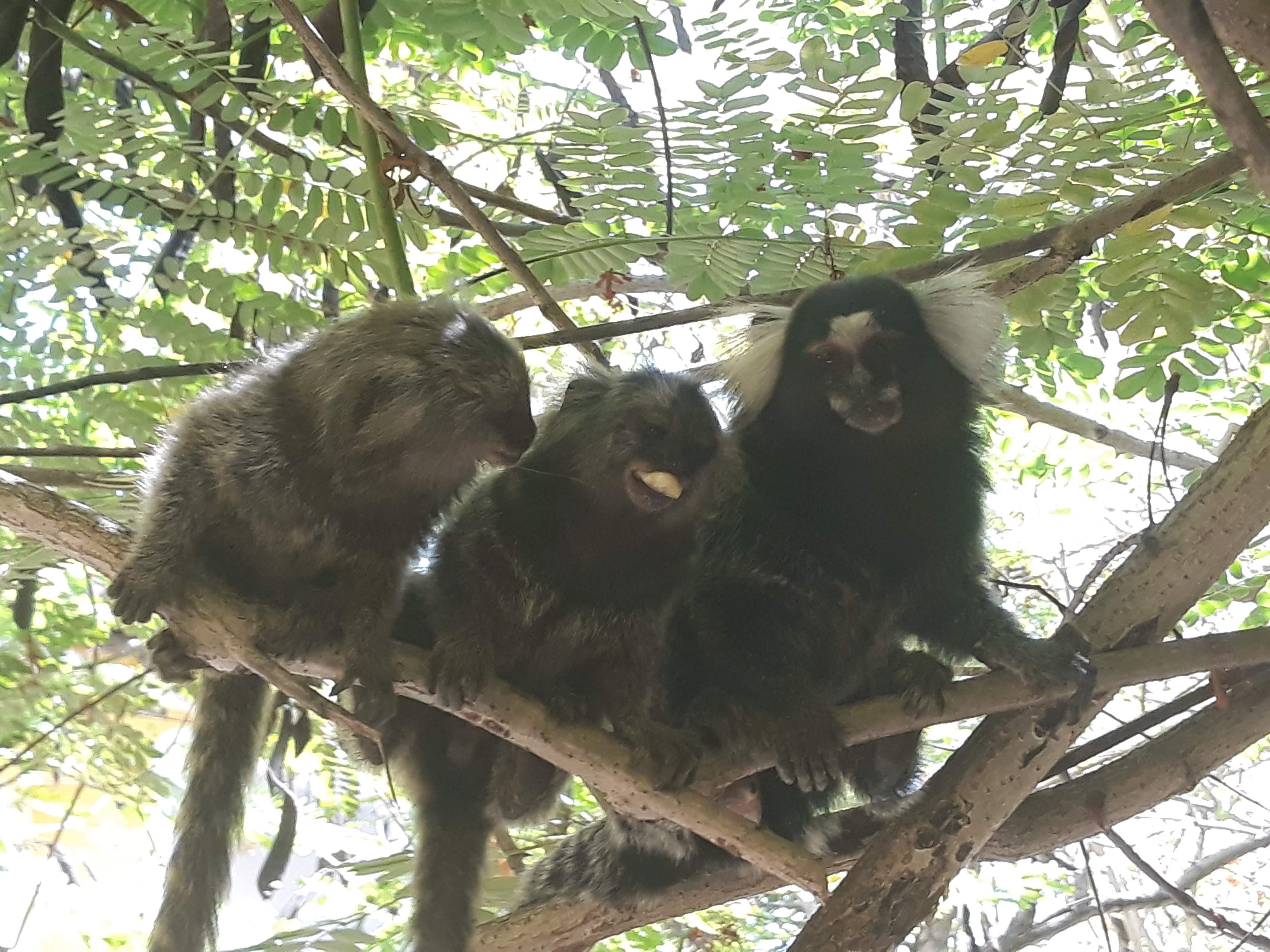 Aguamarinha Pousada Pôrto das Galinhas エクステリア 写真